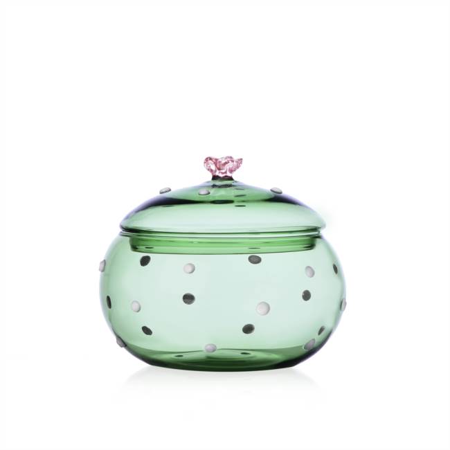 [PREORDER] Ichendorf Milana Desert Plants Box Green Cactus Pink Flower