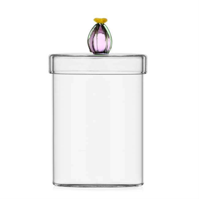 [PREORDER] Ichendorf Milano Desert Plants Box Cactus Collection