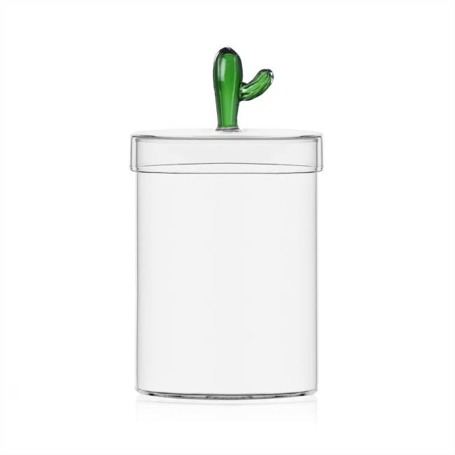 [PREORDER] Ichendorf Milano Desert Plants Box Cactus Collection