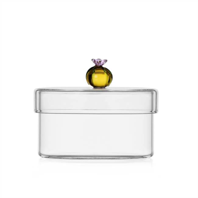 [PREORDER] Ichendorf Milano Desert Plants Box Cactus Collection