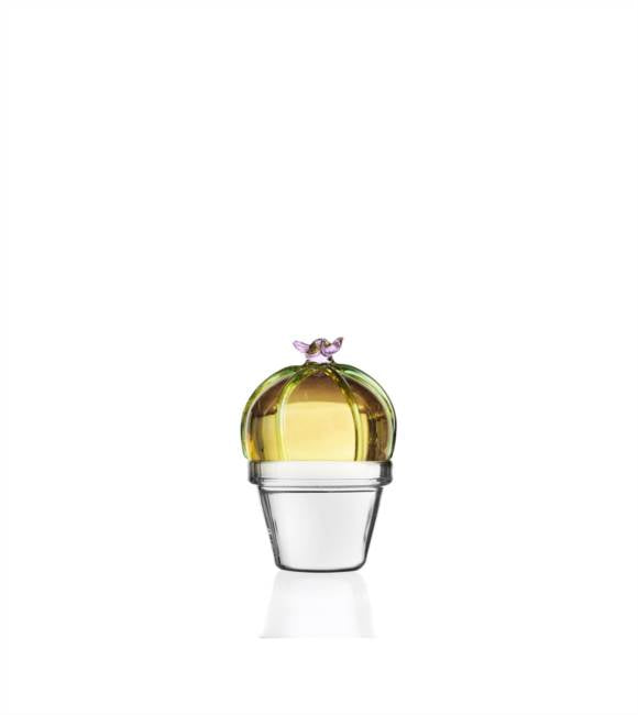 [PREORDER] Ichendorf Milano Desert Plants Paperweight Collection